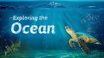 Under the Sea immersive 3D template